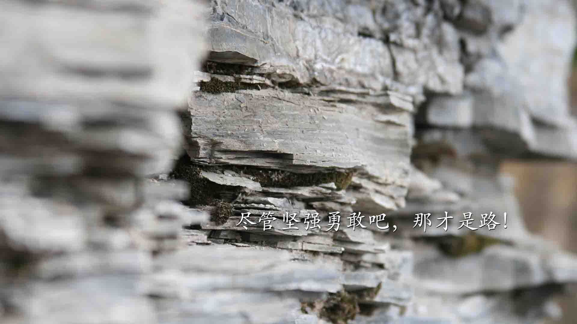 开云·体育官网-_未来体育产业峰会：科技创新引领行业变革_，未来体育赛事