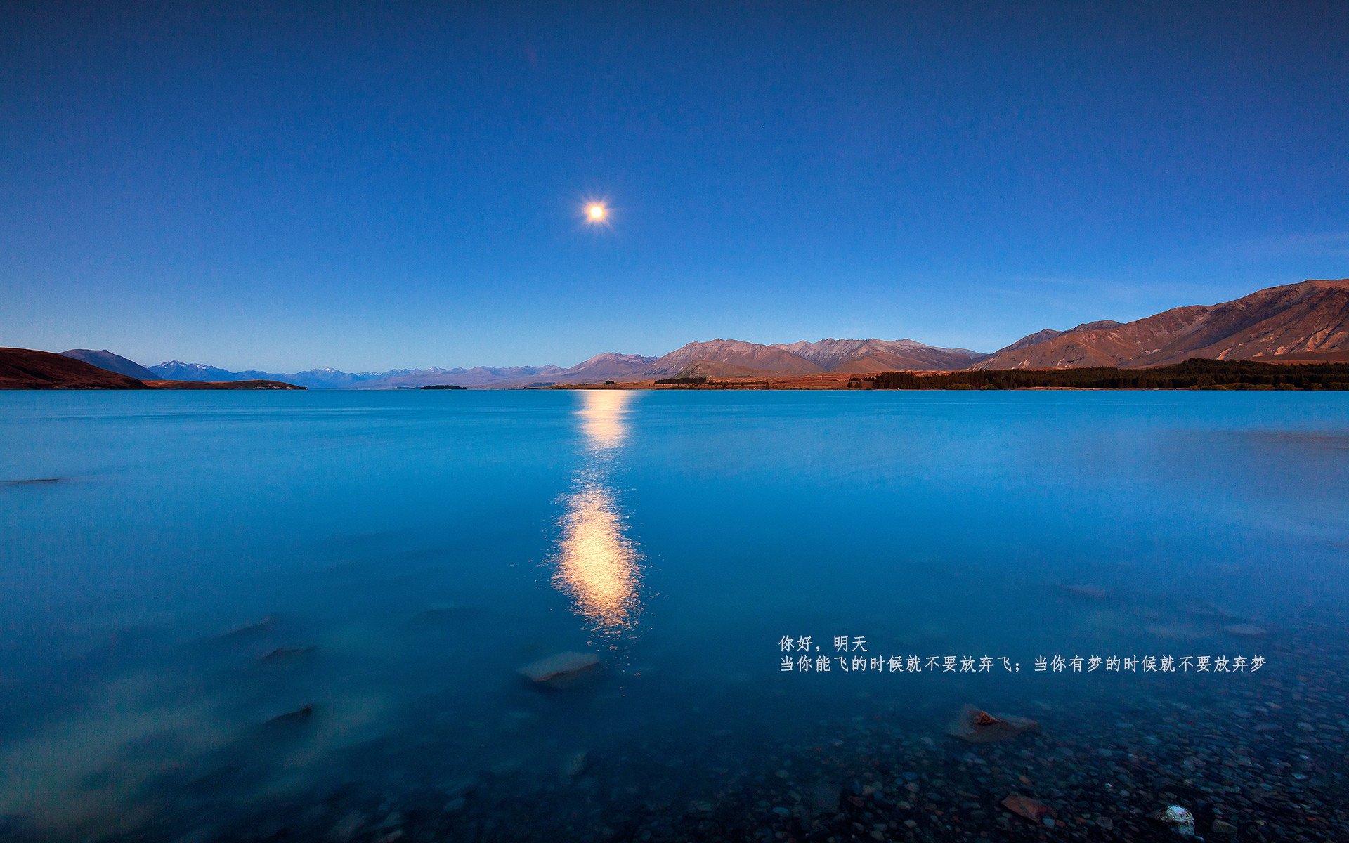 开云·体育官网APP下载-_运动员退役后的新角色：教练、解说、公益先锋_，运动员退役做教练