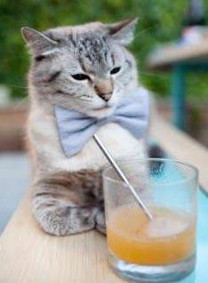 开云官网首页-全国青少年冰球联赛，冰上激情飞扬，2021年全国青少年冰球锦标赛