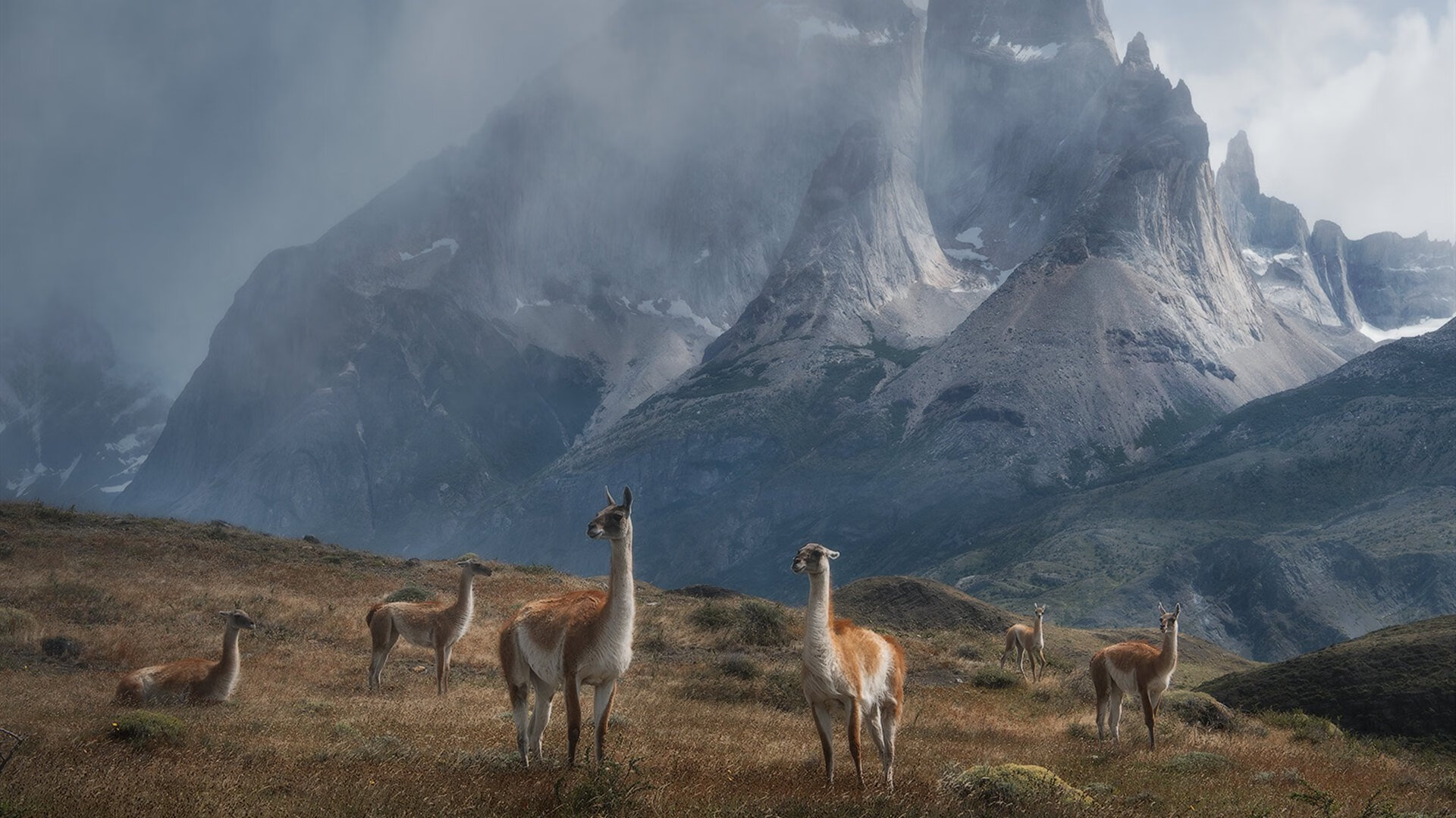 kaiyun-各地青少年篮球运动会促进区域体育一体化发展，全运会青少年篮球