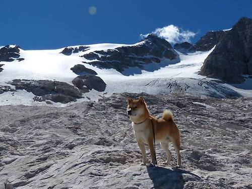 开云网页版登录入口-德甲德比：鲁尔区内战激烈进行，排名洗牌，鲁尔区德比4比4