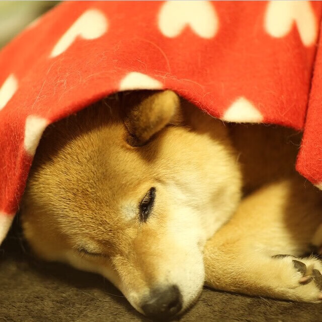 开云官网-篮球赛事多媒体宣传策略不断创新，篮球赛事推送