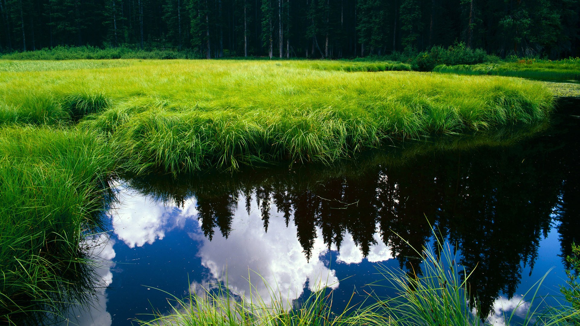 开云网站-退役球员转型，全新足球职业生涯规划出现，足球员退役术语