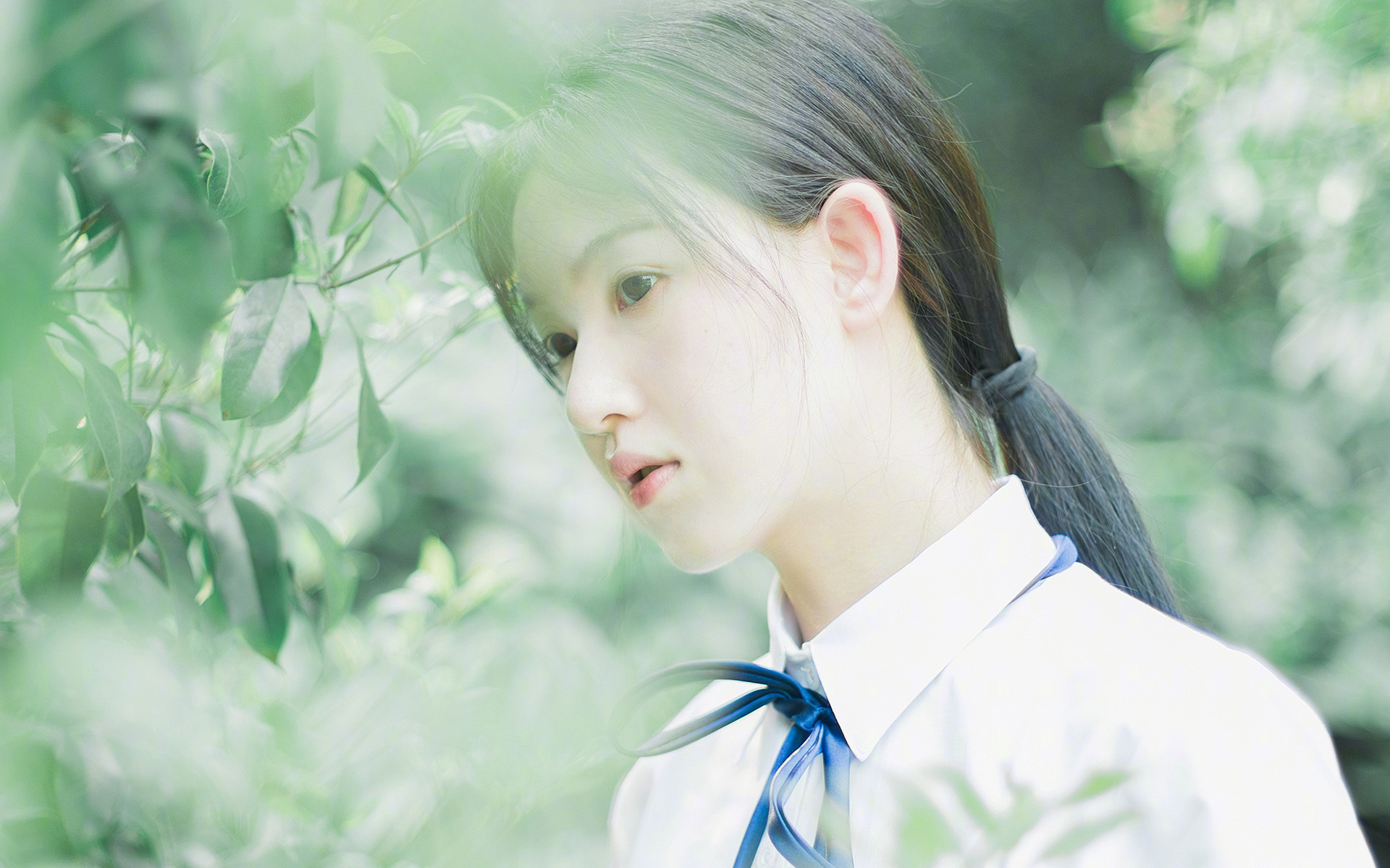 KAIYUNAPP-追梦青年：新晋车手的奋斗之路，追梦汽车