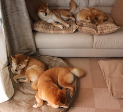 开云网页版登录入口-国足勇夺胜利而进军国际比赛四强，国足4战全胜