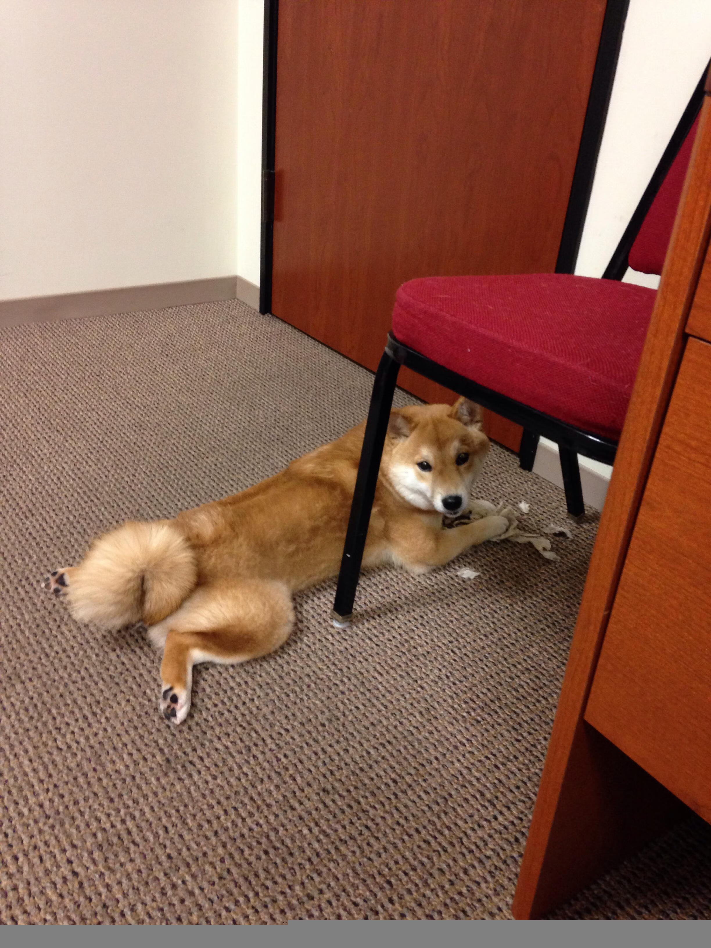 开云下载-联盟是否应公开转会评估标准，英雄联盟转会期结束时间