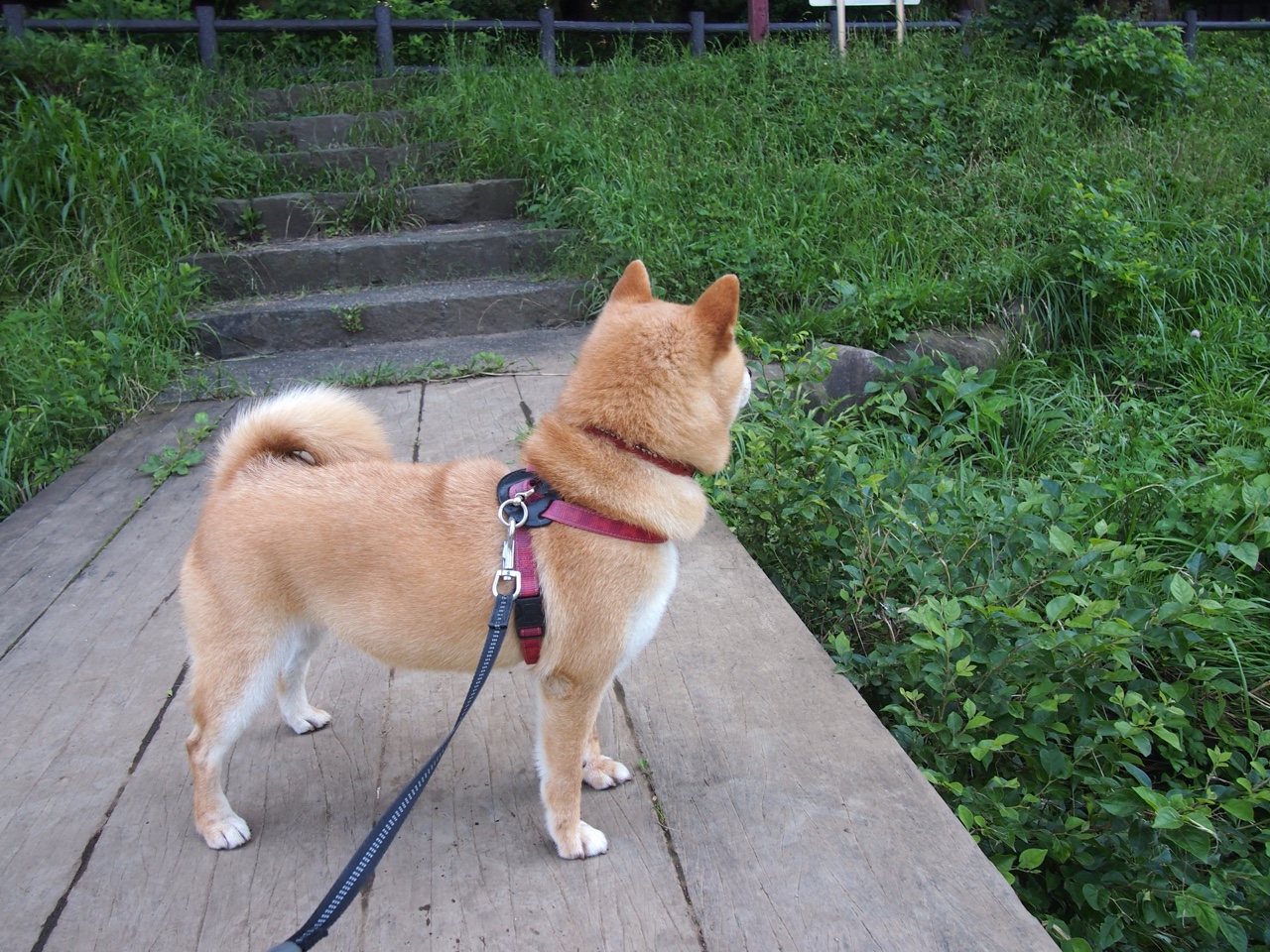 开云网页版-莱加内斯遭遇主场溃败，战绩下滑，莱加内斯主场球场