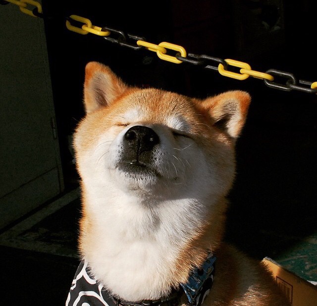 开云平台-莱加内斯不敌塞维利亚，遭遇失利，莱加内斯球员名单