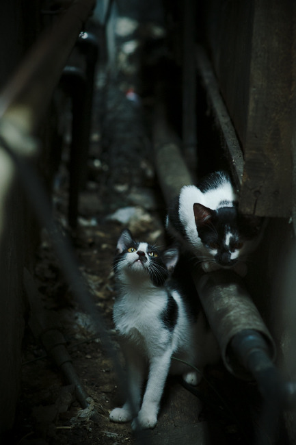 主帅强调一场场拼下来目标才能真正实现不容松懈