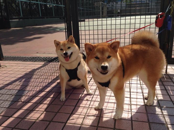 kaiyun体育app-拉文罚球稳定公牛末节稳住局势，nba_拉文34分 公牛击败活塞