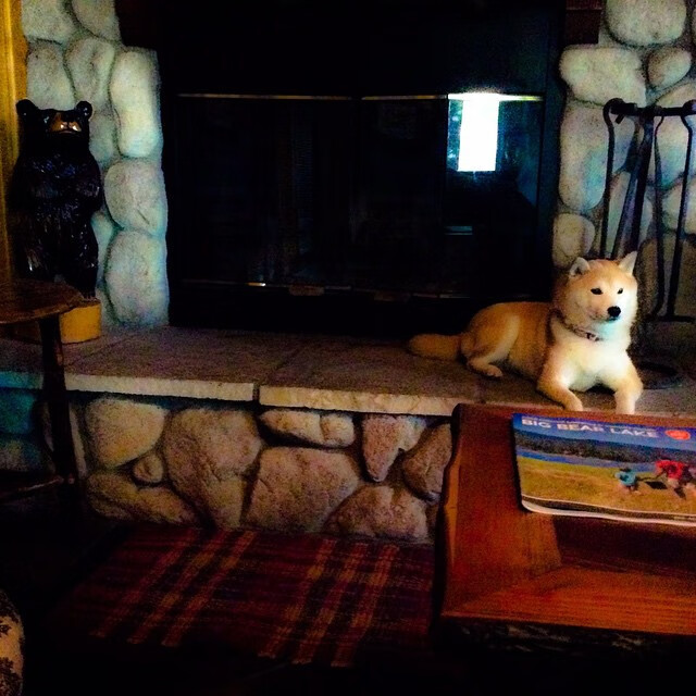 开云体育官方网入口-曹缘冲线瞬间引爆全场气氛，曹缘百科