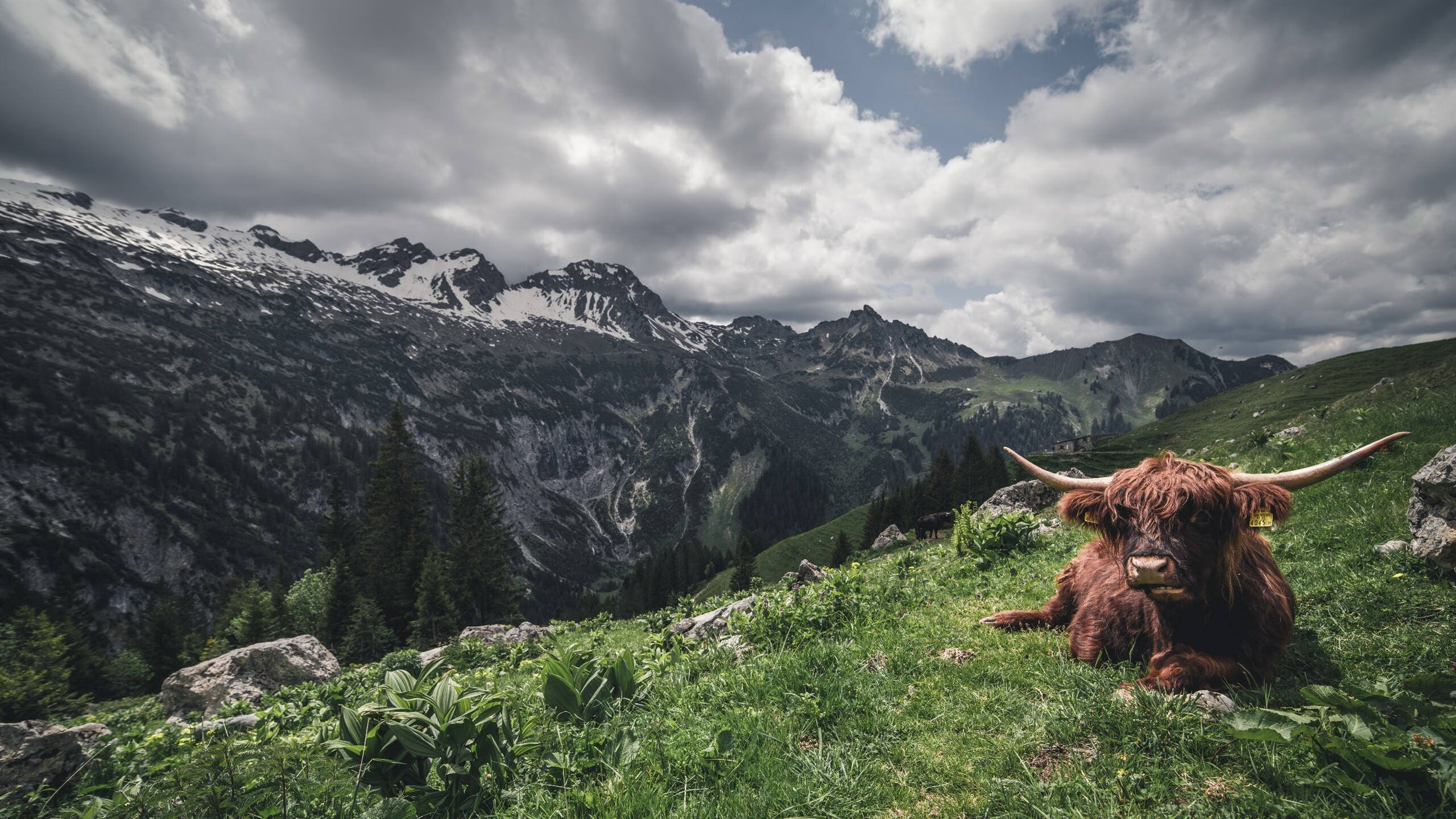 kaiyun体育app-热火公布球队口号强调团队第一，热火队宣传片